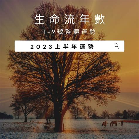 2023生命靈數流年2|V生命靈數／ 2023上半年【整體運勢】分析&生命流年。